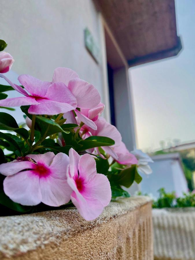 Casa Rachele Apartment Bardolino Ngoại thất bức ảnh
